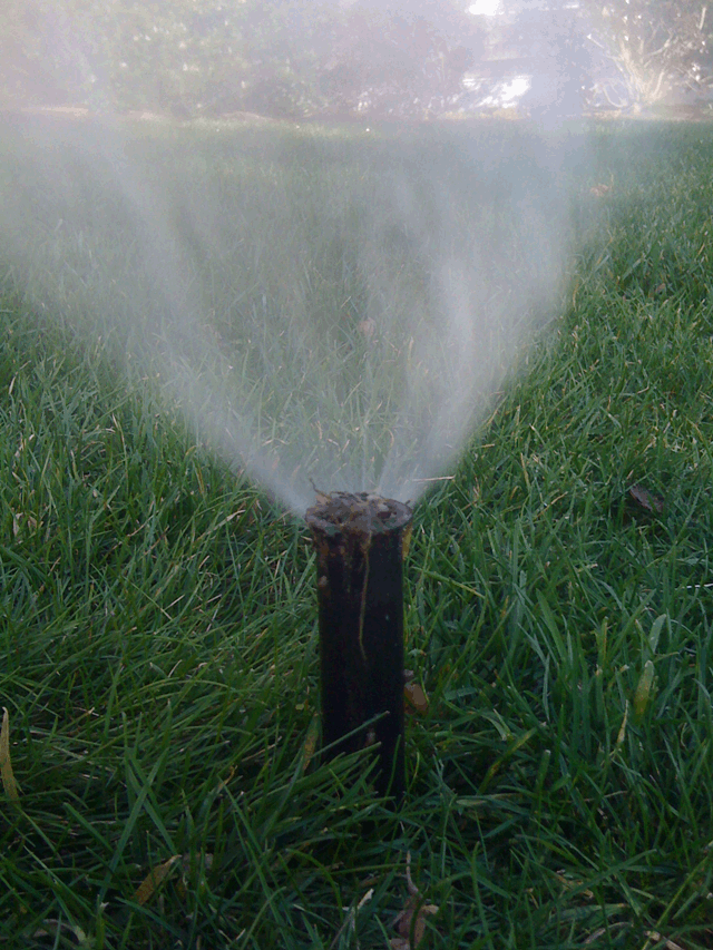Irrigation Picture